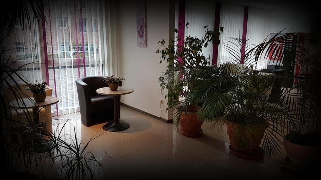 טרויסדורף Hotel Primula מראה חיצוני תמונה